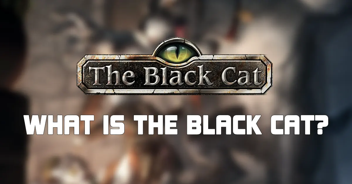 What is The Black Cat? Black cats bring bad luck….